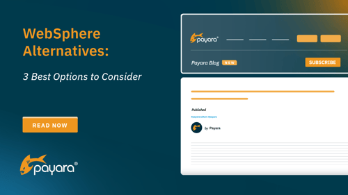 WebSphere Alternatives: 3 Best Options to Consider