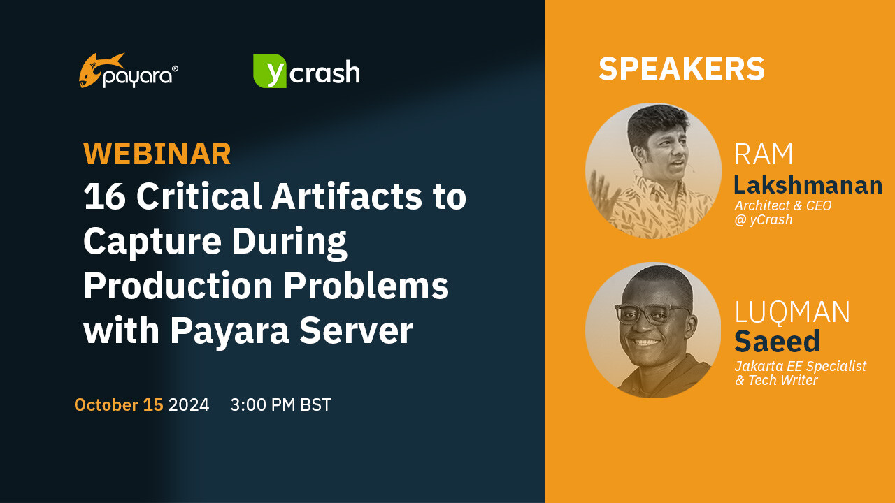 Webinar Payara yCrash Part 1