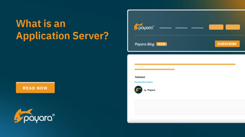 What is an Application Server