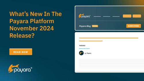 What Is New In The Payara Platform November 2024 Release Blog