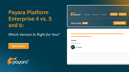 Payara Platform 4 Lifetime Support