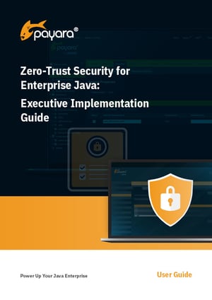 Zero-Trust Security for Enterprise Java-Executive Implementation Guide Cover
