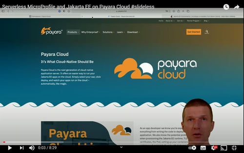 Adam Bien Payara Cloud 