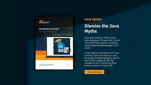 Dismiss the Java Myths guide front cover 