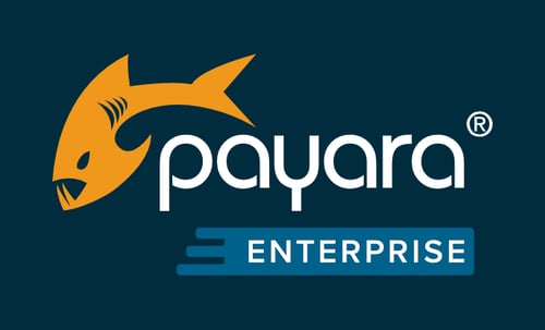 Payara Enterprise logo