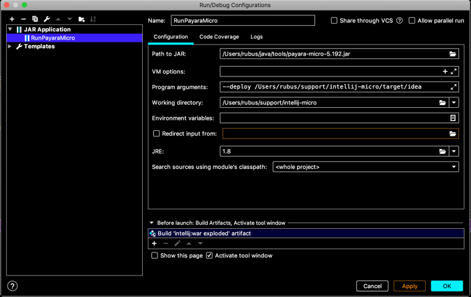 intellij-run Payara Micro