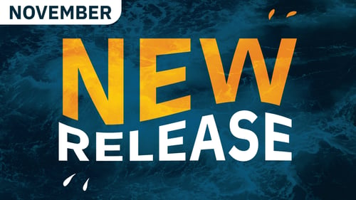 November new release