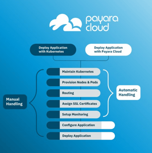 payara cloud roadmap 1