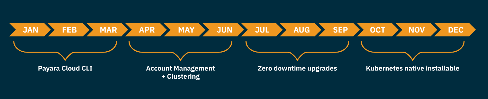 payara cloud timeline (4)