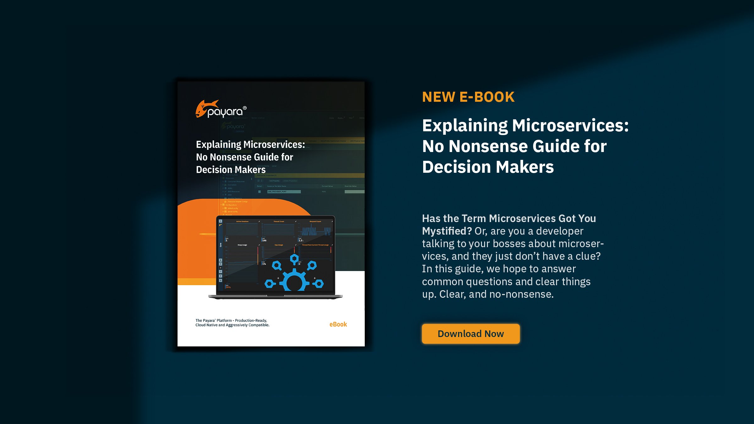 Explaining Microservices: No Nonsense Guide For Decision Makers