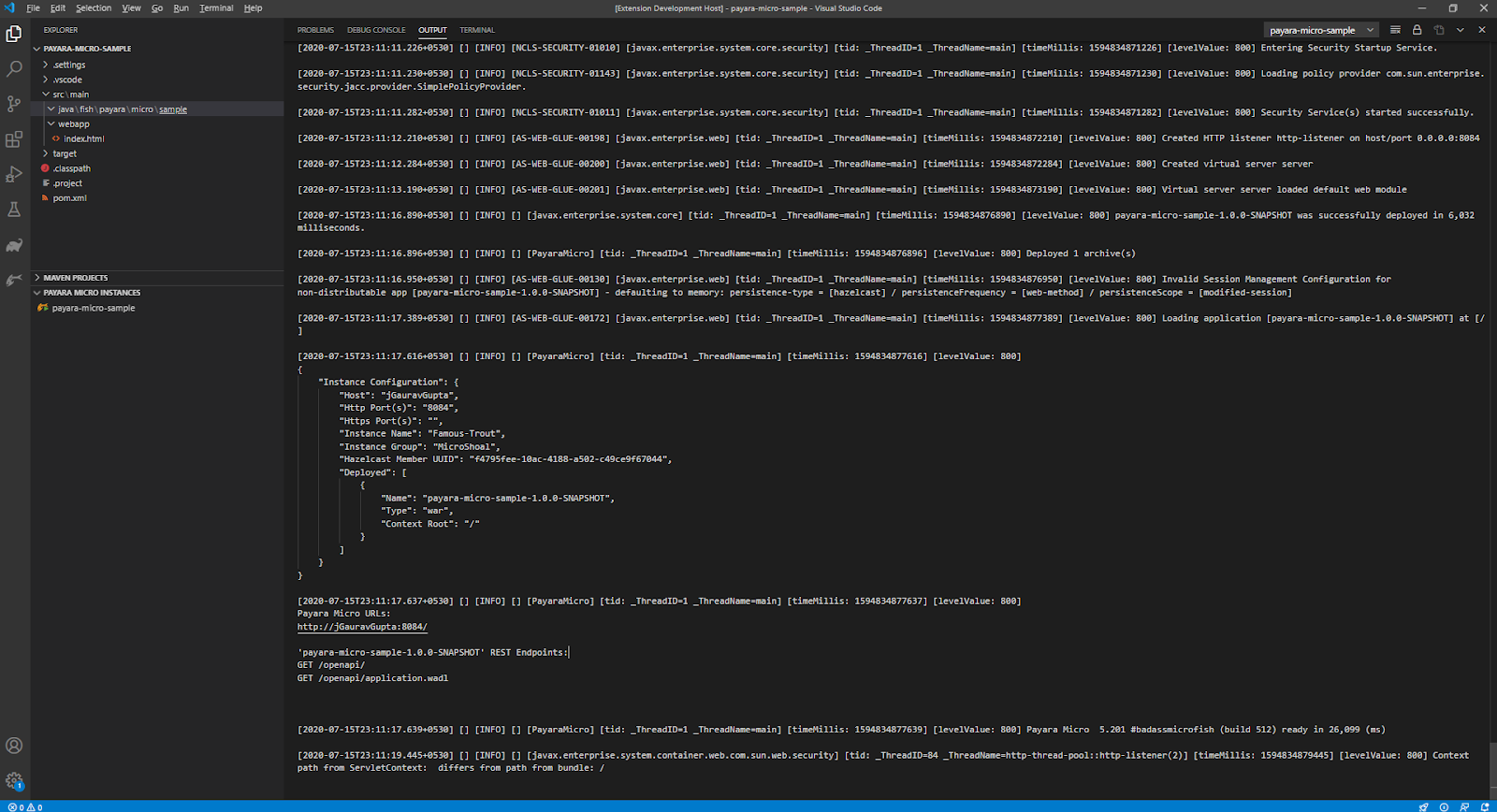 Payara Micro application log in the OUTPUT window