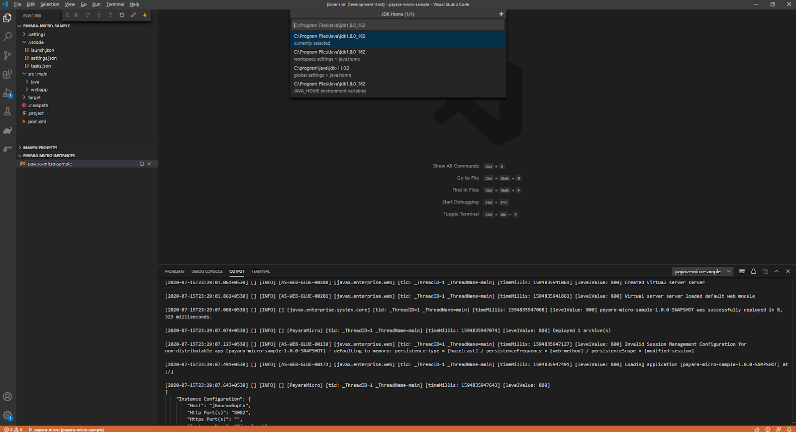 modify the JDK Home Path of the application