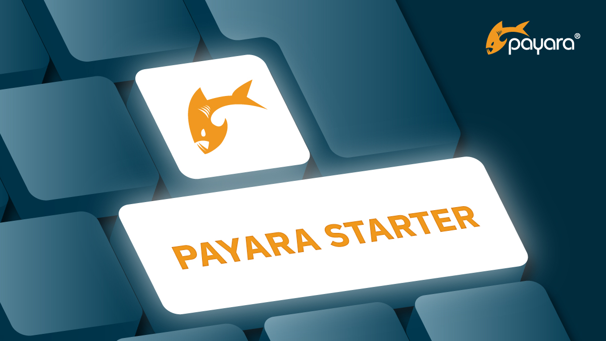 Image of keyboard with 'Payara Starter' on it and Payara Fish