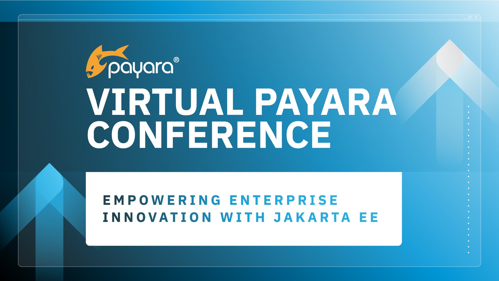 Virtual Payara Conference image
