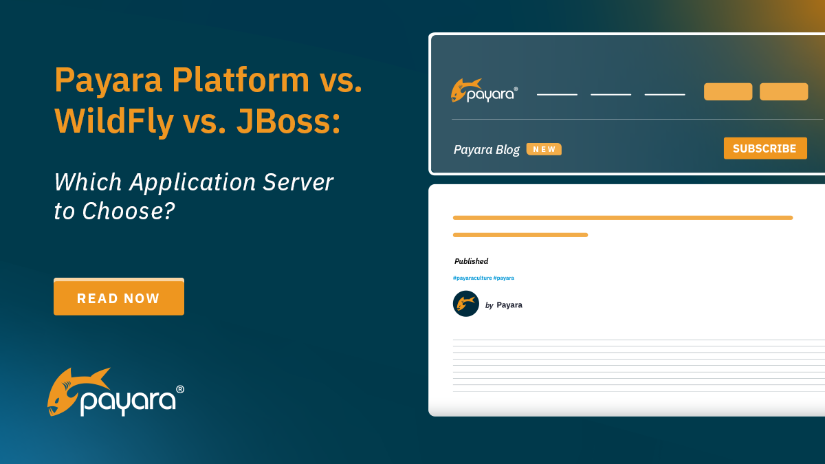 Payara Platform vs. WildFly vs. JBoss: Which Application Server to Choose? post image